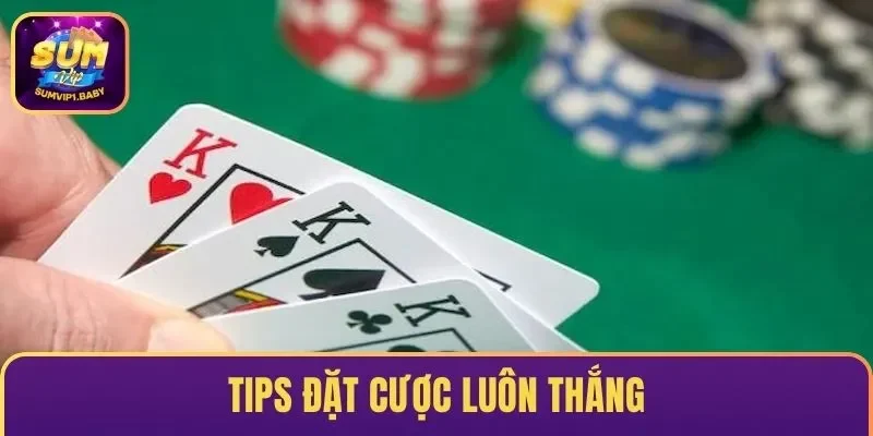 Tips đặt cược luôn thắng