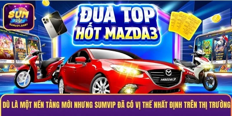 Dù chỉ mới hoạt động 4 năm nhưng SUMVIP đã có chỗ đứng vững chắc
