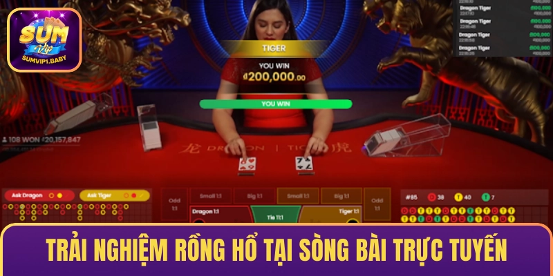 Trải nghiệm Rồng Hổ tại sòng bài trực tuyến
